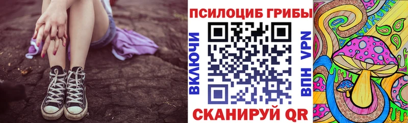 закладки  Грязовец  Псилоцибиновые грибы GOLDEN TEACHER 